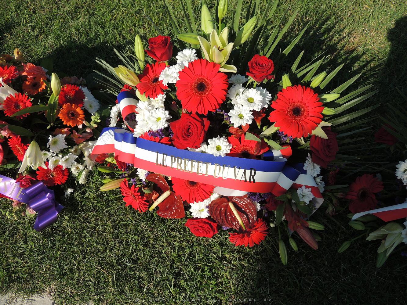 2019 09 25 TOULON HOMMAGE NATIONAL AUX HARKIS ET AUX FORMATIONS SUPPLETIVES  (5).JPG -           